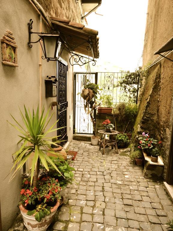 Vistalago Guesthouse 内米 外观 照片